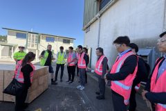 products Panpac makes